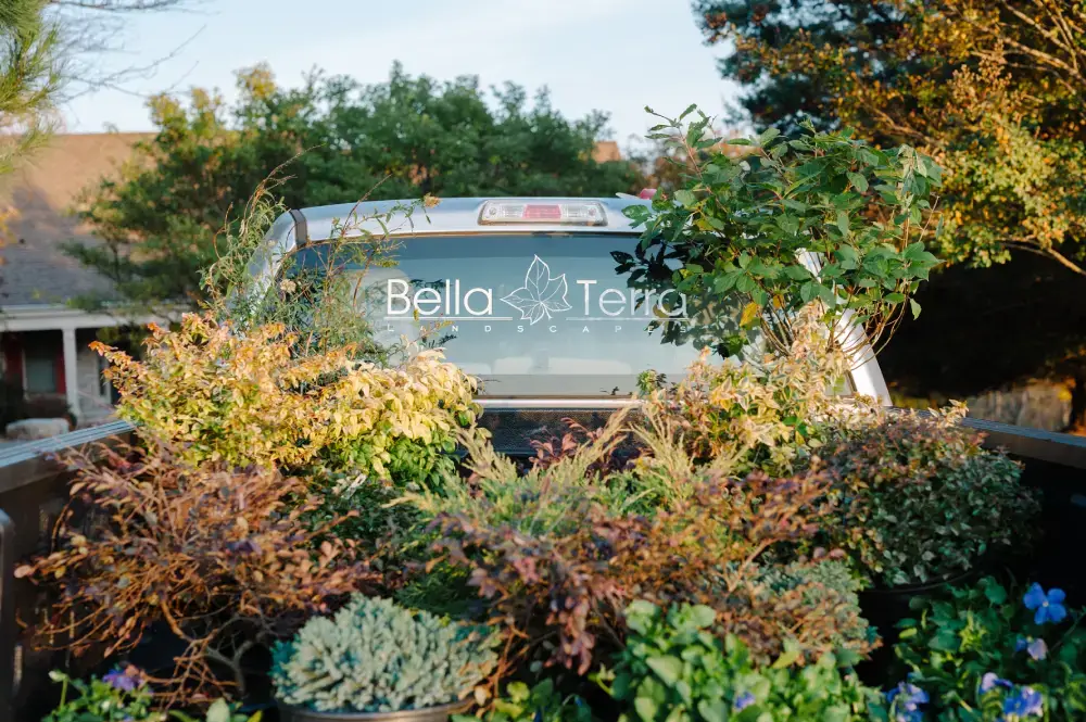 SeraPetrasPhotography_BellaTerraLandscaping-28