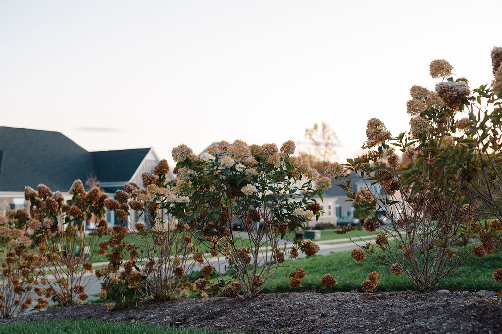 SeraPetrasPhotography_BellaTerraLandscaping-48