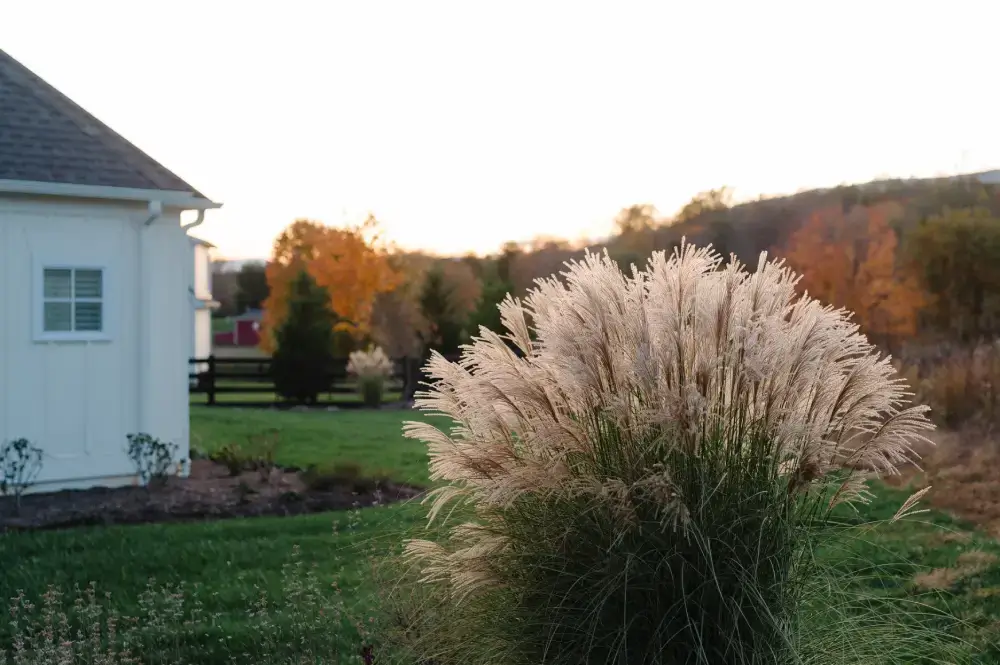 SeraPetrasPhotography_BellaTerraLandscaping-51